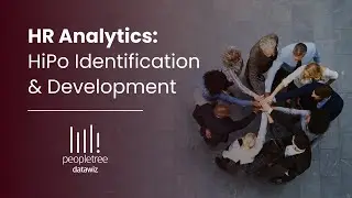 High Potential (HiPo) Identification & Development Analytics for HR