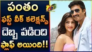 Gopichand Pantham 1st Week Collections || Pantham 7 Days Total Collections || Pantham Collections
