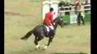 Escudo I