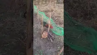 Construire une haie s&egrave;che #jardin #potager #permaculture