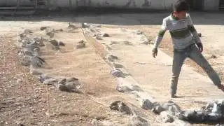 علي صياد بغداد 3