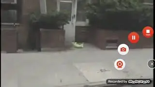 Kermit falls off meme but in minecraft