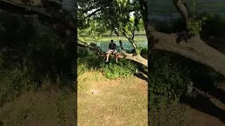 Happy Saturday it's hot as balls out!  Not easy climbing a tree with a drone in the air and a remote