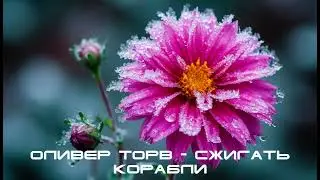 Oliver Torv - Burn the ships #needed #tonoone #bad #burn #ships #loyalty #dear #lost #path #faith