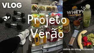 Come&ccedil;ando meu Projeto Ver&atilde;o 💪 | rotina fit REAL, compras e foco total