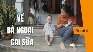 Về bà ngoại cai sữa cùng Bambi T5/2022