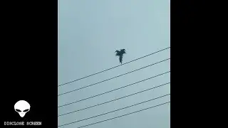 Floating humanoid figure over Moscow Russia & floating palm tree over west Hollywood?