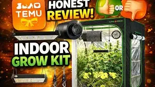 Temu Grow Kit Review: Worth It or Waste of Money?