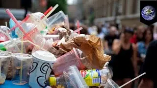 Plastic straw pollution: Can plastic straw bans work? - TomoNews