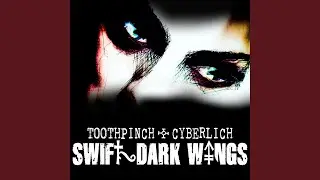 Swift Dark Wings (Toothpinch Remix)