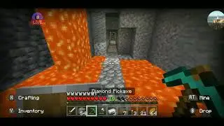 The Bat SMP a Normal day (realm restart)