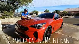 Easily maintain your UndrDOG Coating with Revision! East Valleys Accredited Installer