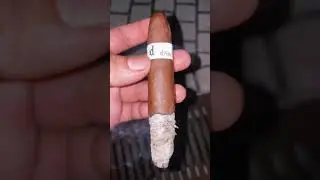 AJ Fernandez - Diesel Rage Perfecto (6.0&rdquo;x 60) #cigar #shorts #short