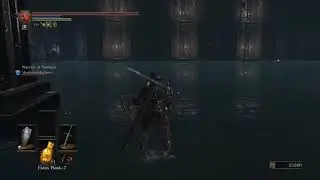 Sulyvahn's Beast Flop