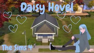 Daisy Hovel💙