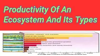 Productivity of an Ecosystem & its Types in Hindi/Urdu