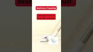Romen Cleaning Service &ndash; Premium House Cleaning in Lisbon