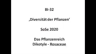16. Vorlesung Rosaceae