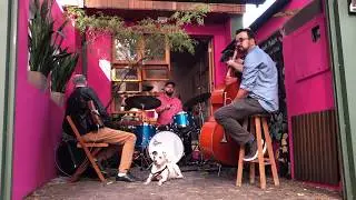 Daniel Blues (Michel Leme) - Michel Leme, Daniel D&rsquo;Alcantara, Felipe Gianei e Bruno Tessele