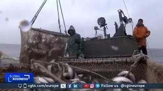 Russia bans Japanese seafood
