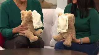 Peek-a-Boo Bear Interactive Huggable Plush by Gund with Rachel Boesing