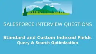Salesforce Interview Questions  -  Standard and Custom Indexed Fields