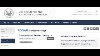 Fundamental Factors and SEC Forms 10-K/10-Q