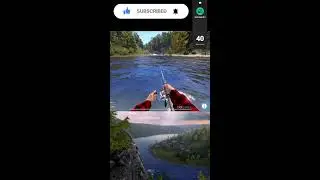 Russian Fishing 4 Competions! 🎥