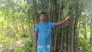 বন্ধু তুমি আমার জীবন। #video #song #music #viralvideo #viralvideo2025