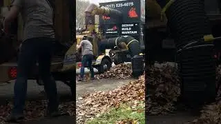 Quick & Easy Fall Clean-Up!