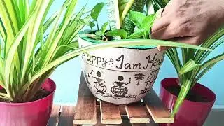 home decorating ideas || plant stand // my home decor