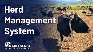 Dairysense Herd Management System - EN