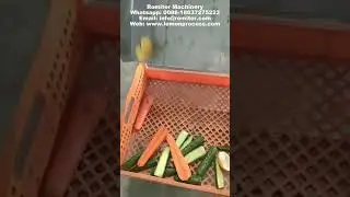 Multiple Channel High Speed Lemon Half Dividing Cutting Machine