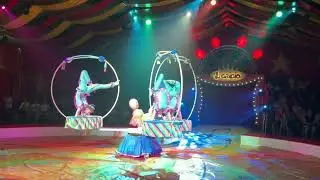 It's is all about circus Il Grigio 2022
