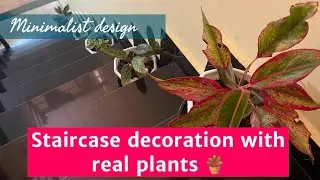 Staircase decoration with real plants 🪴 | Gardening | Arcane View #gardening #home #decoration