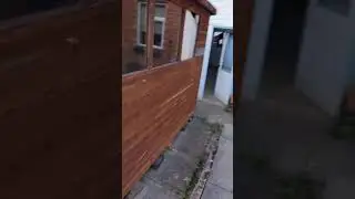 short video