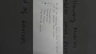 Comment the answer  muscle name  physio physiotherapy physiotherapist medical notes muscle bone