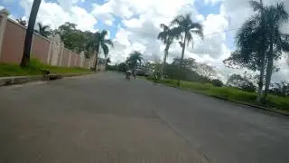 Neo Crit || Last Lap || 080918