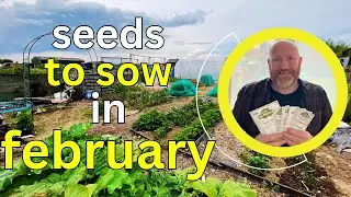 What Seeds to Sow in February | Grow Your Own Organic Vegetables for a Self-Sufficient Garden
