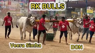 రెంటచింతల గ్రామం సబ్ జూనియర్ విభాగం 💥 3వ జత 💥RK BULLS💥DON💥