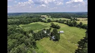 Thriving Vineyard at Bell Well Farm in Ringoes, New Jersey