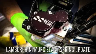 Lamborghini Murcielago Spring Update