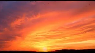 Chant des oiseaux au Lever du Soleil-Se D&eacute;tendre Et Dormir/Singing Birds at Sunrise- Relax And Sleep