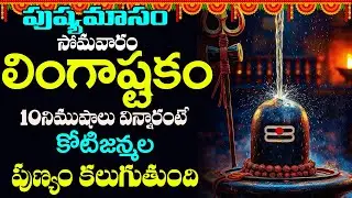 సోమవారం ఉదయాన్నేలింగాష్టకం విన్నారంటే చాలు సాక్షాత్తు మహాశివుడుమీ ఇంట తాండవం చేస్తారు |#lingashtakam