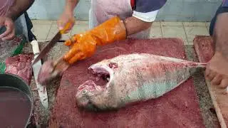 Super Fast Way of Cutting Big Size Fish in World Fish Market