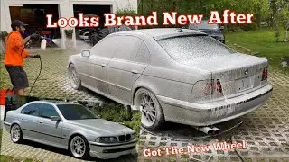 Restoring 23 Year Old Paint On My $1500 BMW E39 540i