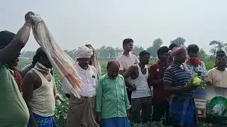 Basf Nunhems Company Ka Cauliflower Pearl Golory Farmer Feedback 