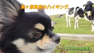 2025年6月28日美ヶ原高原のハイキング
