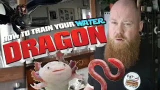 HOW TO TRAIN YOUR AXOLOTL (WATER DRAGON)