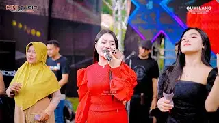 MH MUSIC - DJ TARNI - CIINAN BANA ALL ARTIST - WEDDING RADIT & NITA - GRIBIG GEBOG KUDUS